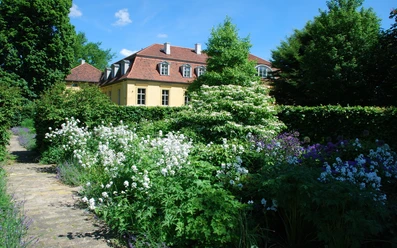 Landschaftsgarten Kleßen