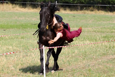 Stuntshow