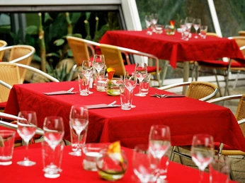 Restaurant Lemon - Terrasse