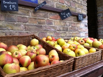 Neumanns Erntegarten