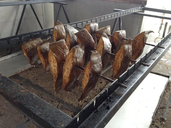 Raeucherfisch Fischerhof Seddin