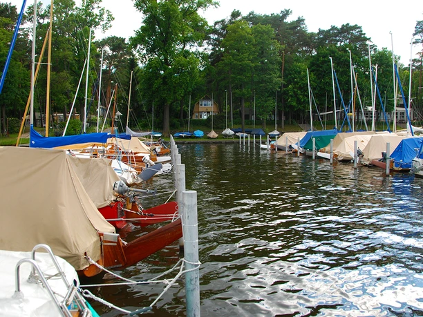 TSG 1898 e.V. © Christin Drühl