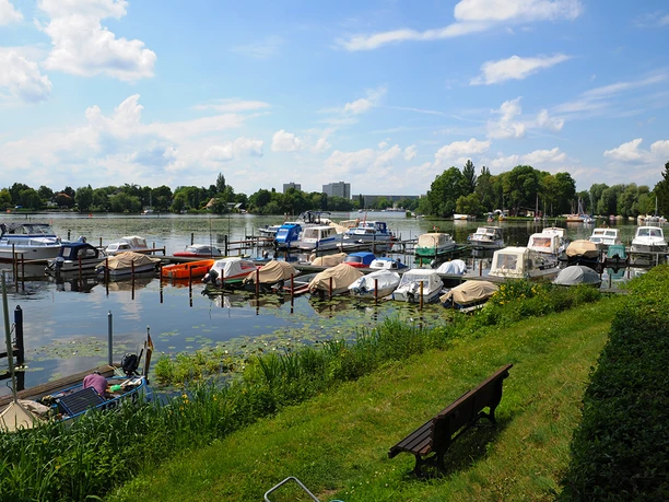 1. Potsdamer Anglerverein e.V. - idyllische Lage inmitten voon Seerosen © Christin Drühl