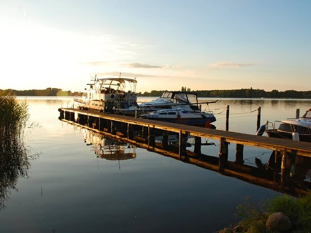 WWR Wolfswinkel - Abendsonne © Christin Drühl
