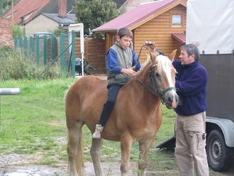 Reiten in Aktion