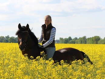 Reiten im Rapsfeld