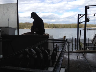 Fischer bei der Arbeit vor dem Seddiner See