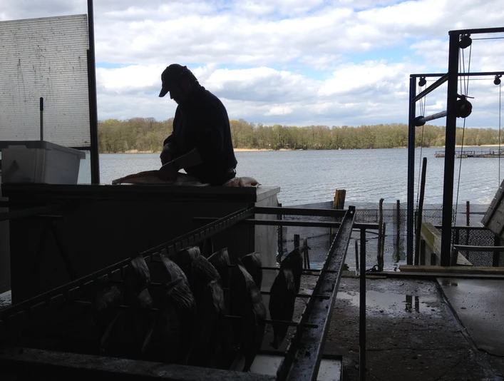 Fischer bei der Arbeit vor dem Seddiner See