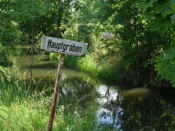 Hauptgraben Letschin 2