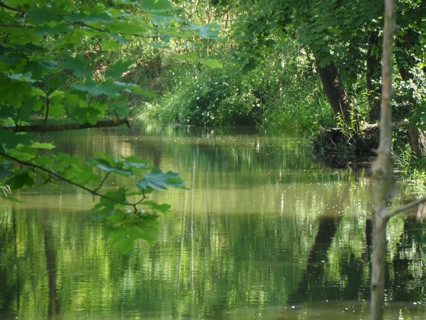 Hauptgraben Letschin