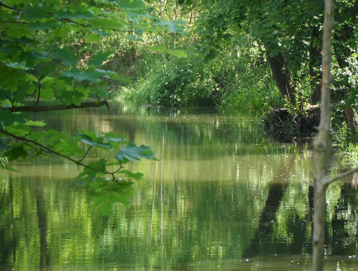 Hauptgraben Letschin