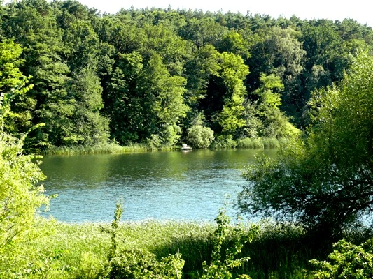 Trebuser See