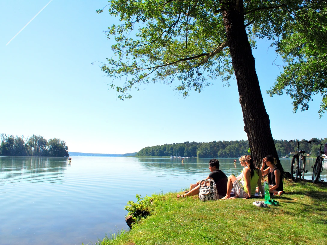 Badestelle Lustgarten, Alte Eichen