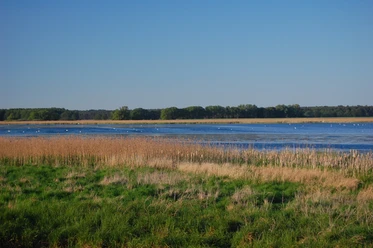 Am Rietzer See