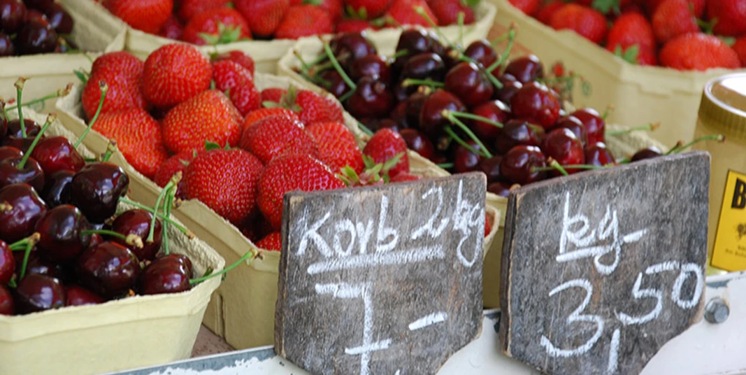 Foto: Tourismusverband Havelland e.V.