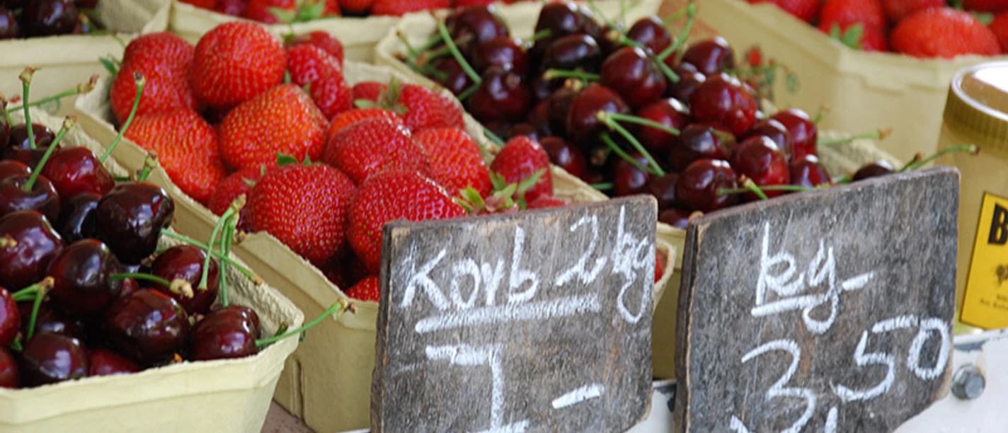 Foto: Tourismusverband Havelland e.V.