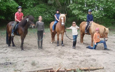 Reiten auf Islandpferden