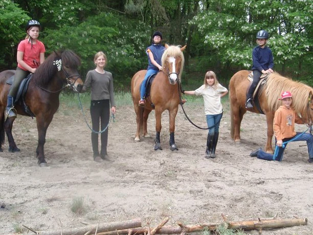 Reiten auf Islandpferden