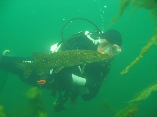 Tauchbasis Strausberg