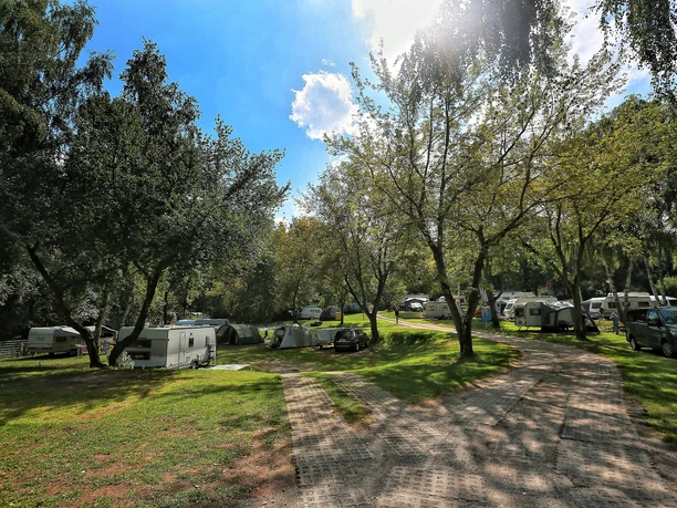 Blütencamping Riegelspitze - Stellplätze