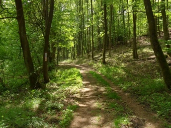 Oderlandweg, Gamengrund