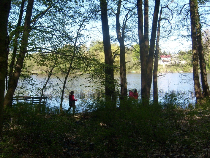 Schlosssee Alt Zeschdorf