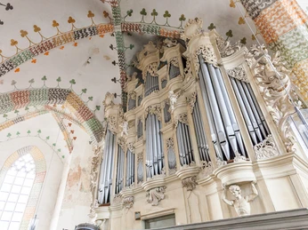 Nikolaikirche Jüterbog - Orgel