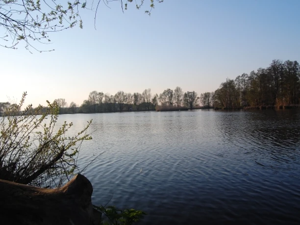 Havelradweg bei Brandenburg © TMB-Fotoarchiv
