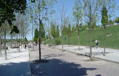 Im Mauerpark Berlin