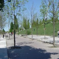 Im Mauerpark Berlin