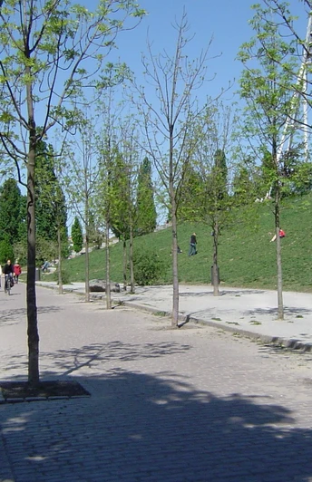 Im Mauerpark Berlin
