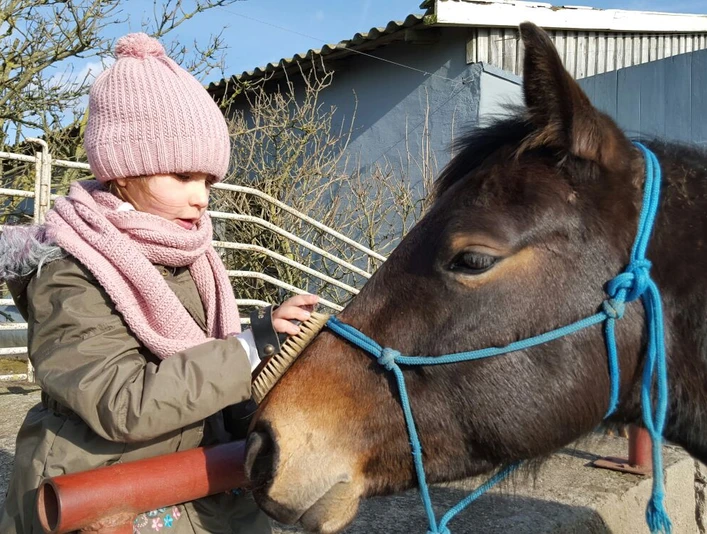 Coaching mit Pferden auf dem Landhof Septemberwiese bei Beeskow