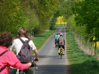 Eine Radtour im Havelland