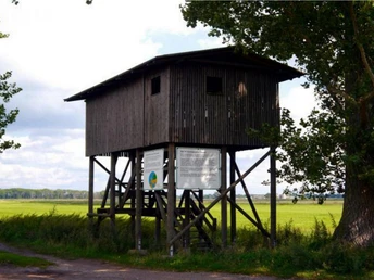 Vogelbeobachtungsturm Utershorst