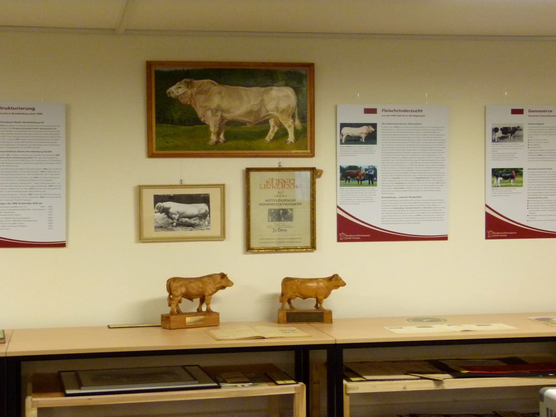 Foto: Rinderzuchtmuseum Groß Kreutz