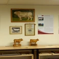 Foto: Rinderzuchtmuseum Groß Kreutz