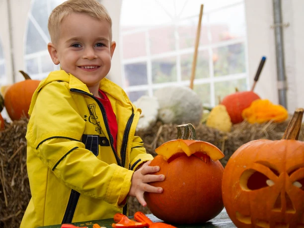Kürbisschnitzen auf dem Spargel- und Erlebnishof Klaistow