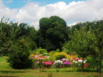 Garten in der Siedlung Alexandrowka © TMB-Archiv Kolbmüller