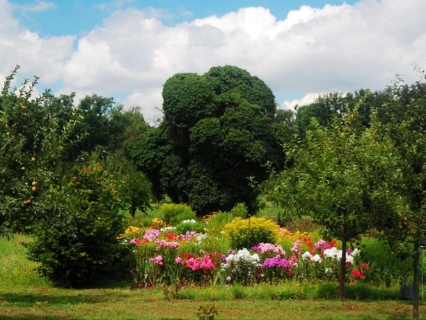 Garten in der Siedlung Alexandrowka © TMB-Archiv Kolbmüller