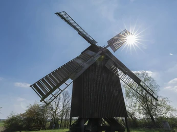 Bockwindmühle in Borne