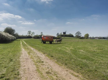 Pferdekutsche an der Bockwindmühle in Borne