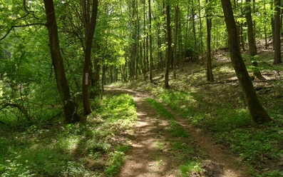 Oderlandweg, Gamengrund