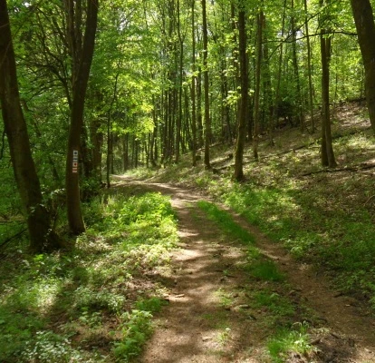 Oderlandweg, Gamengrund