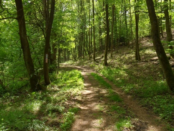 Oderlandweg, Gamengrund