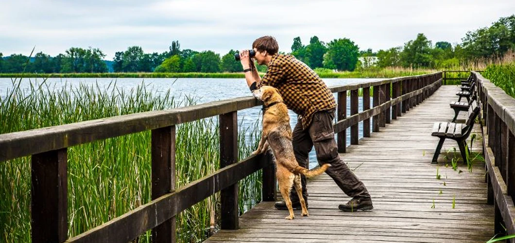 Vogelbeobachtungsteg am Blankensee