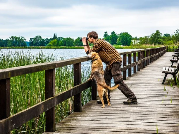 Vogelbeobachtungsteg am Blankensee