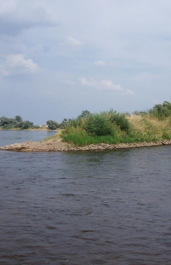 Zusammenfluss von Oder und Neiße