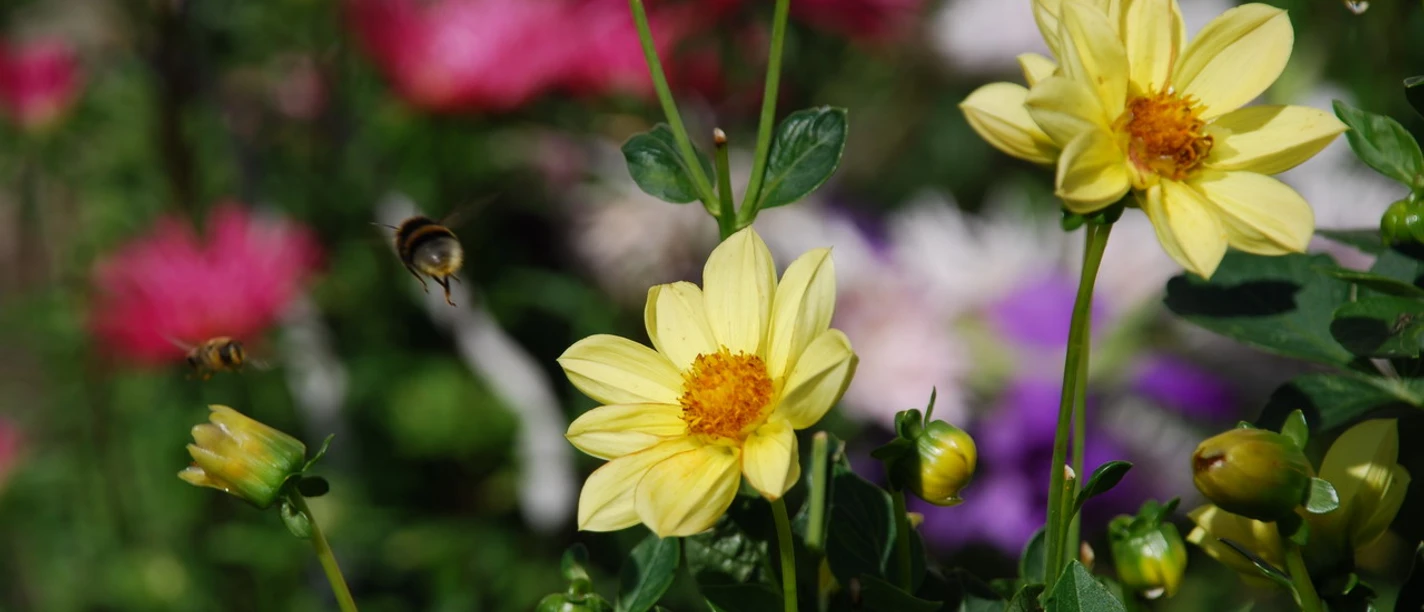 Foto: Tourismusverband Havelland e.V.