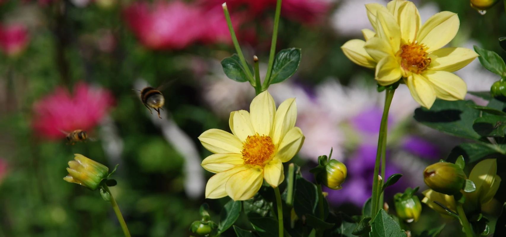 Foto: Tourismusverband Havelland e.V.