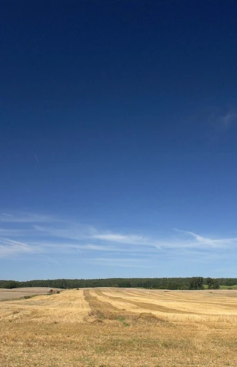 Feldflur in der Barnimer Feldmark